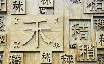 形近字教学教案精选8篇