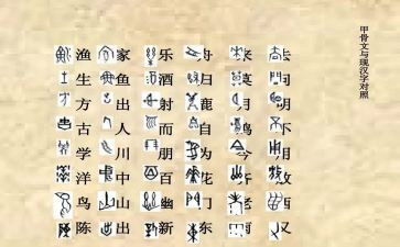 小学语文形近字教案优秀5篇