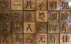 形近字教学教案优秀8篇