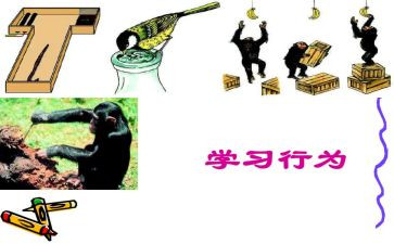 学规范正行为班会教案5篇
