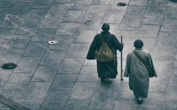 狼行者的观后感通用5篇