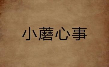 我的心事作文500字5篇