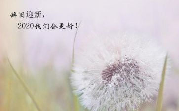 新一年工作计划优秀7篇
