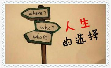 《小白的选择》读后感优质6篇