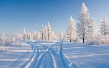 以雪为主题的活动方案通用6篇