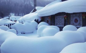 小班语言《雪》教案推荐5篇