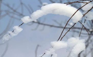 写雪天的作文300字7篇