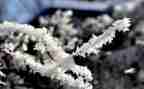 小班语言《雪》教案精选7篇
