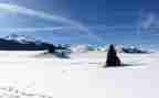 雪读后感100字优秀8篇