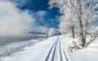 雪为主题的演讲稿5篇