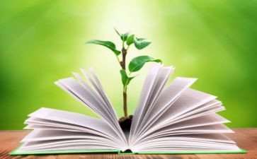 小学语文二年级上册教学工作计划5篇