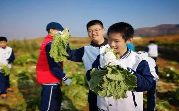 学农的心得体会5篇