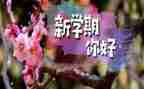 大班教学下学期工作总结7篇