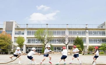 普通学生述职报告8篇