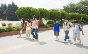 学生学习心得优质8篇
