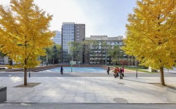 写学校的优秀作文模板6篇