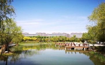 学校教师个人述职报告8篇