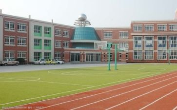 学校心得体会参考8篇