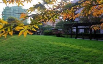 学校生活作文400字8篇