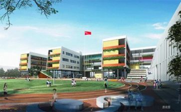 2024年学校培训工作总结最新8篇