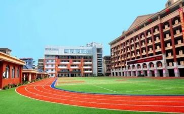 学校财务科工作总结最新5篇