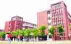 学校安全活动工作总结优秀8篇