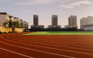 2024学校体育工作总结优质6篇