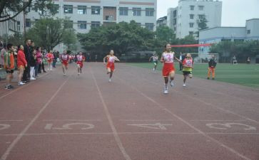 学校体育办工作计划最新5篇