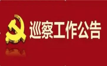 巡察组巡察工作汇报材料8篇