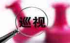 2024年巡视工作报告5篇