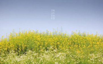 初三叙事作文600字8篇