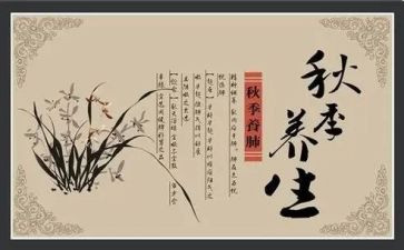 健康养生节活动方案7篇