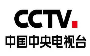 央视的观后感最新7篇