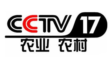 央视观后感800字5篇