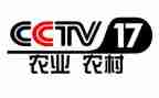 央视观后感800字5篇