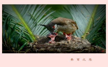 养育之恩的作文5篇