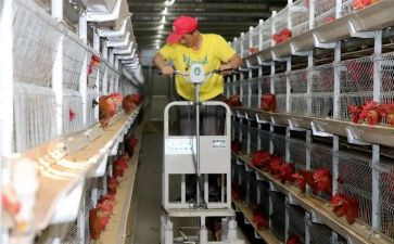 出租养殖场合同7篇