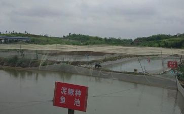 养殖场的租赁合同6篇