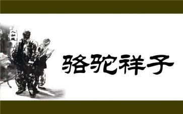 青春的样子演讲稿8篇