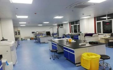 检验科述职报告2024版范文5篇