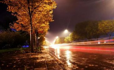 夜上海的活动策划7篇