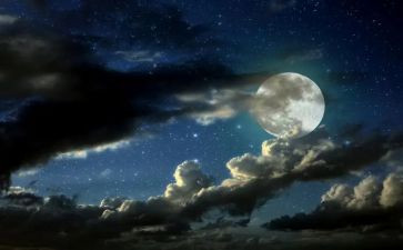 难忘的除夕夜作文精选8篇