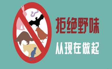 关于拒野味的演讲稿8篇