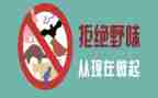 关于拒野味的演讲稿8篇