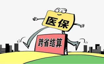 2024年个人医保工作总结8篇