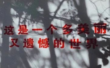 不遗憾作文优秀6篇