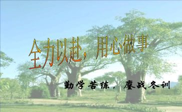 用心的倾听作文800字作文6篇