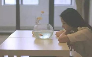 介绍自己的优点演讲稿6篇