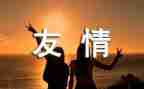 谈友情的作文参考7篇