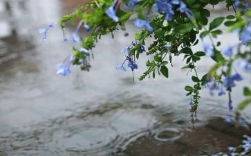 雨与家的故事读后感参考7篇